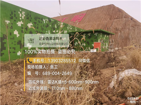 拉萨星空迷彩墙施工队
