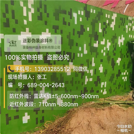 拉萨星空迷彩漆，夏令营训练,数码迷彩作训墙,围墙
